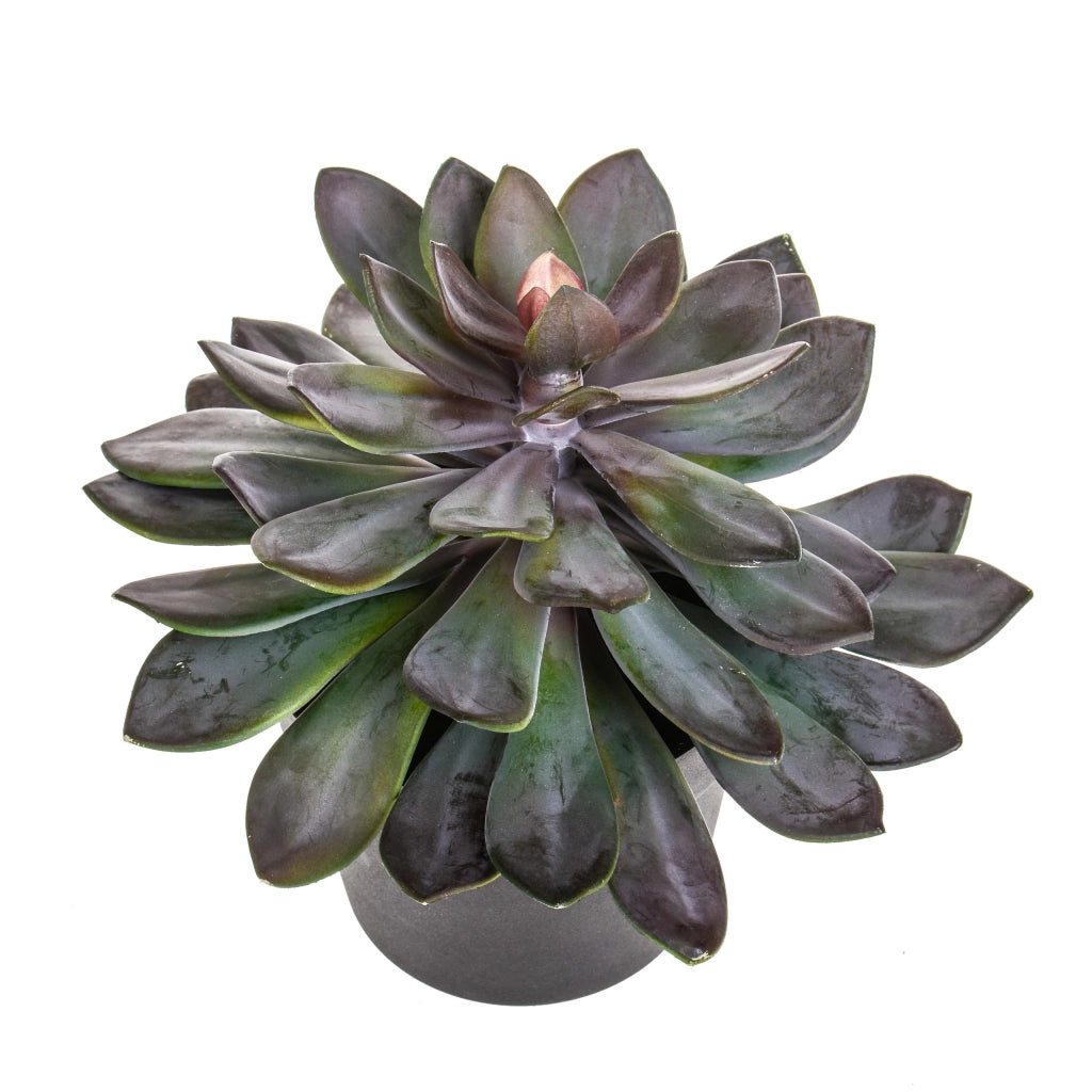 Succulent Artificiale con Vaso Altezza 28 cm Verde