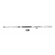 CAVO C36 DA 10' CABLE C36 FT 12'