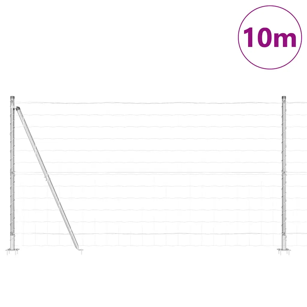 Recinzione da Giardino | Recinzione con Posto Argento 1,2 x 10 m Acciaio