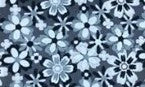 Tappeto Velvet 50X120 - Giacomini E Gambarova