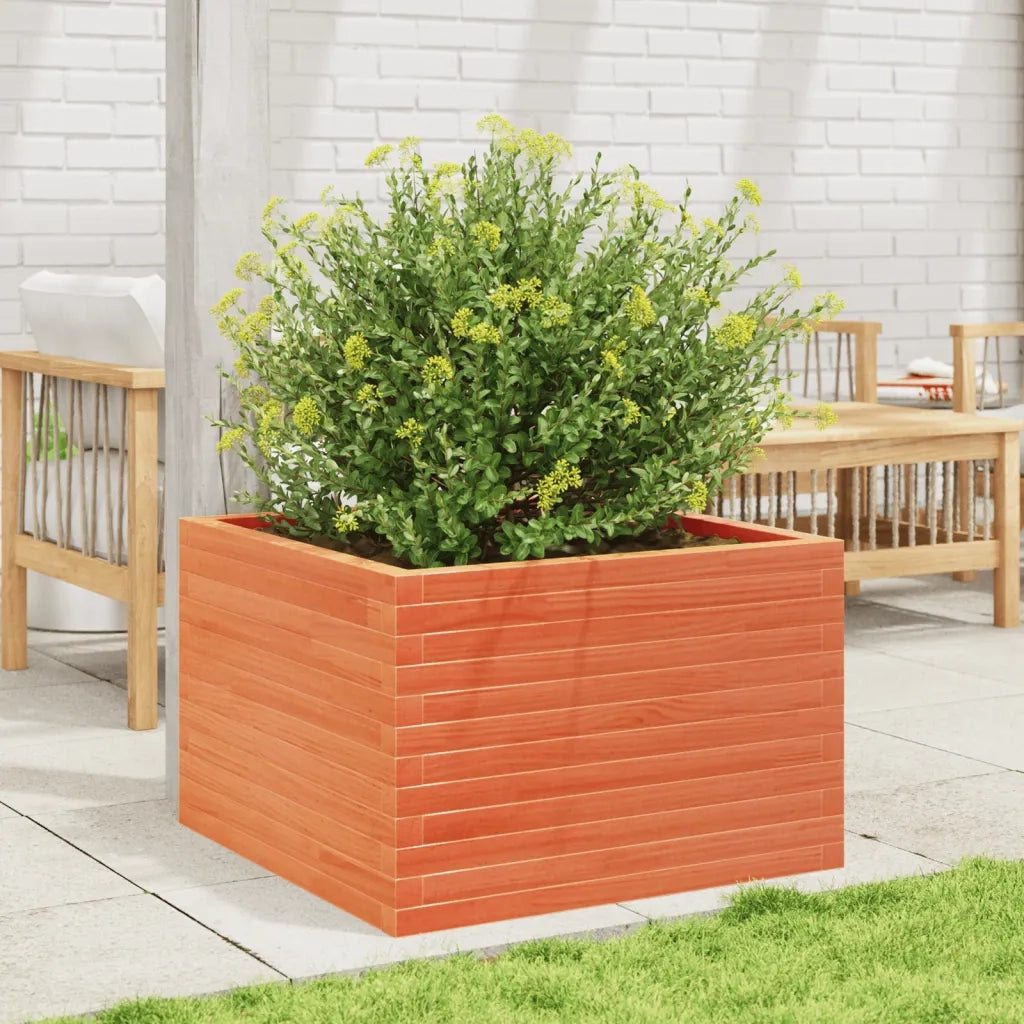 Fioriera | Cassetta per fiori | Vaso Giardino Marrone Cera 70x70x45,5cm Legno Massello Pino