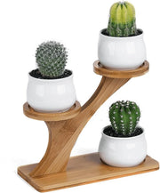 Vasi ceramici con uccelli - decorativi e pratici - 3 pezzi - con base in bambù