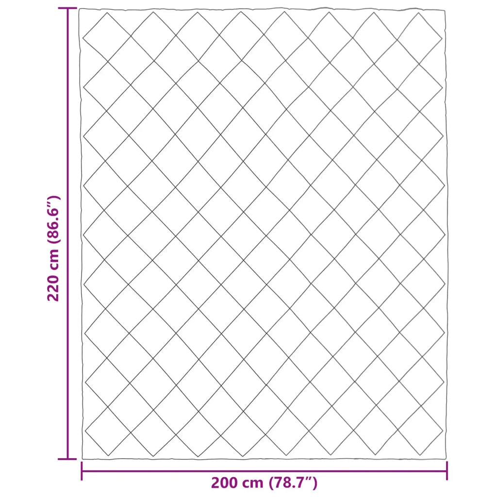 Piumone Completo Annuale Nero 200 x 220 cm Microfibra 42025592