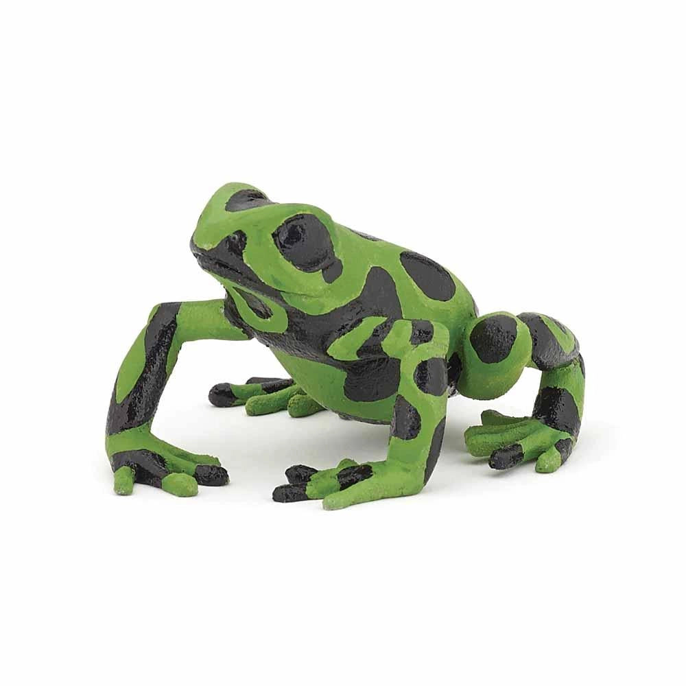 Papo - Equatorial green frog