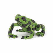 Papo - Equatorial green frog