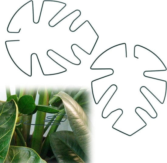 Supporto per steli di Monstera - Sostegno per piante di clima metallico