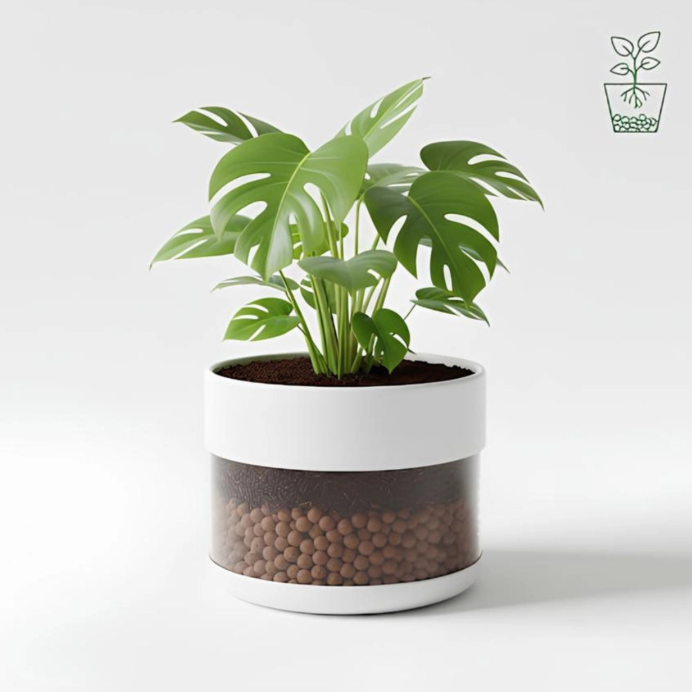 Argilla espansa leggera per piante 50 l 8-20 mm pezzi 4