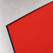 ZOIMANIA - Paraschizzi in Dibond - Composito di Alluminio 3 mm - Colore Rosso Opaco Dimensione Paraschizzi: L80 x P60, Colore Dibond: Rosso Opaco