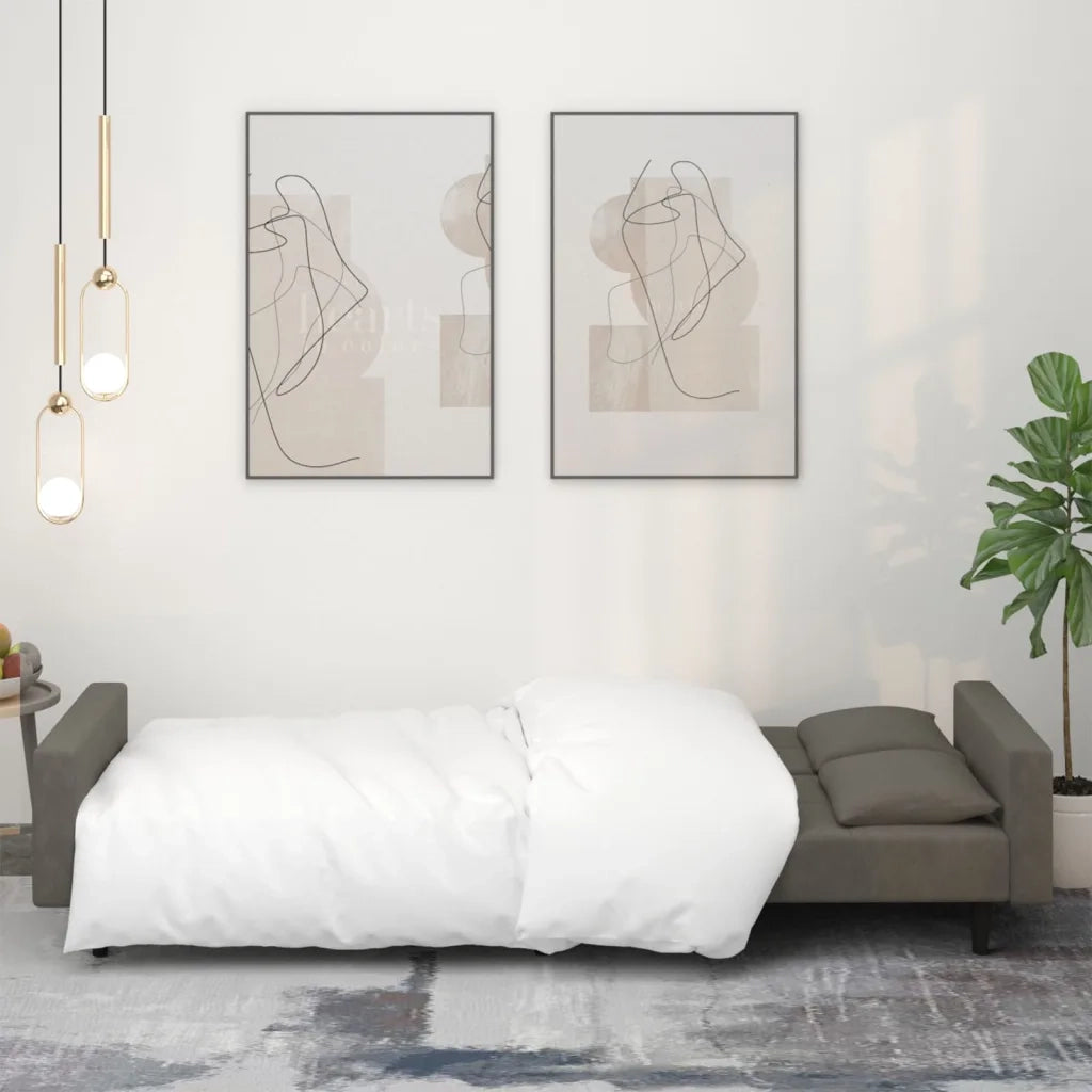 Divano Letto a 2 Posti con 2 Cuscini-Sofa Letto 2 Posti-Daybed Grigio Scuro in Velluto 350954