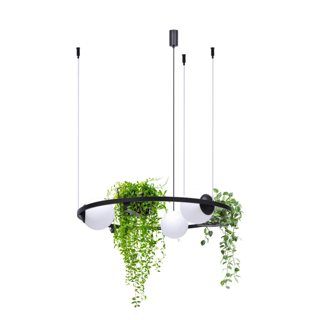 Lampada a sospensione Zuma Line PLANT 3xE27 nero/bianco