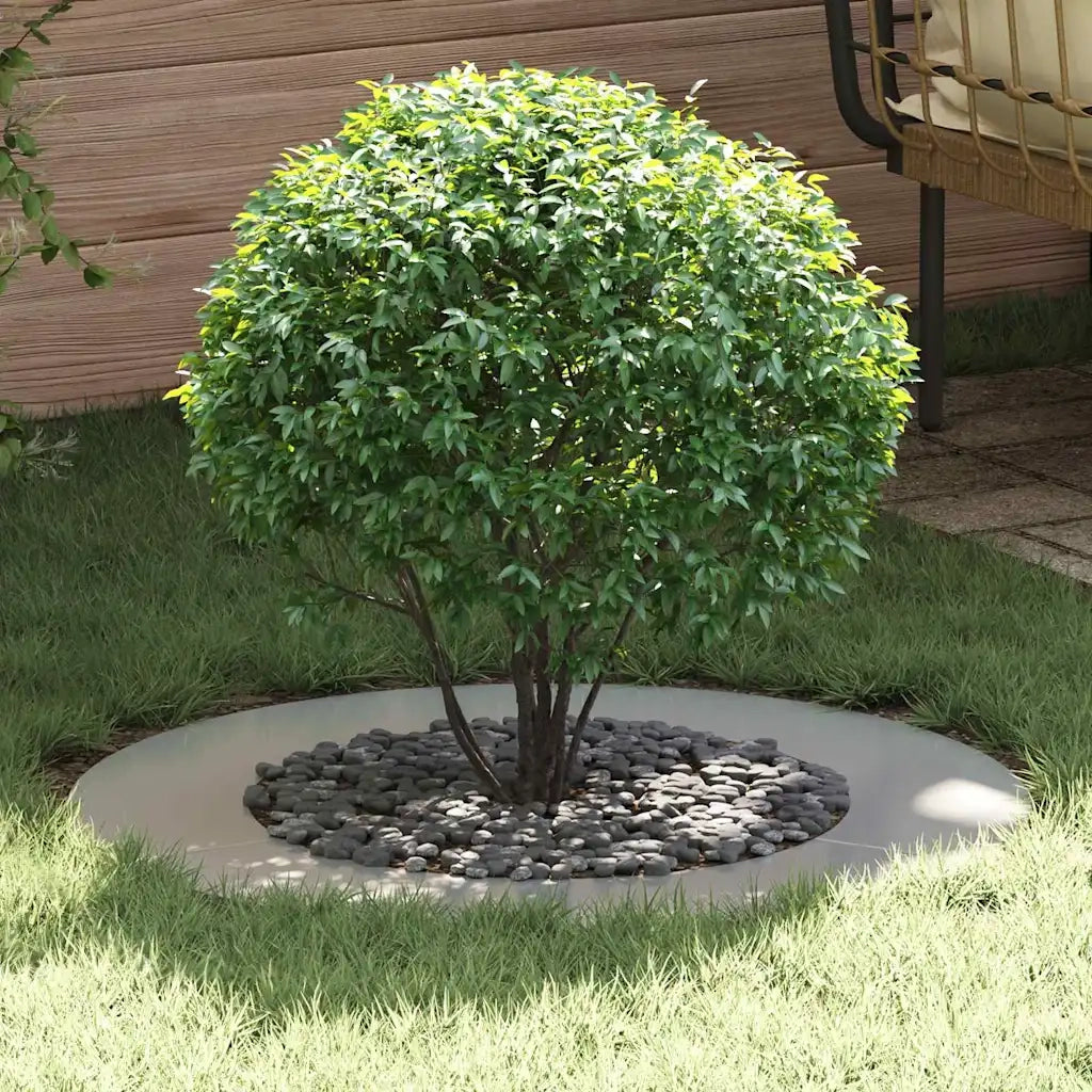 adatto per Anello d'Albero Piatto Argento ?50 / 80 cm CFW2393038