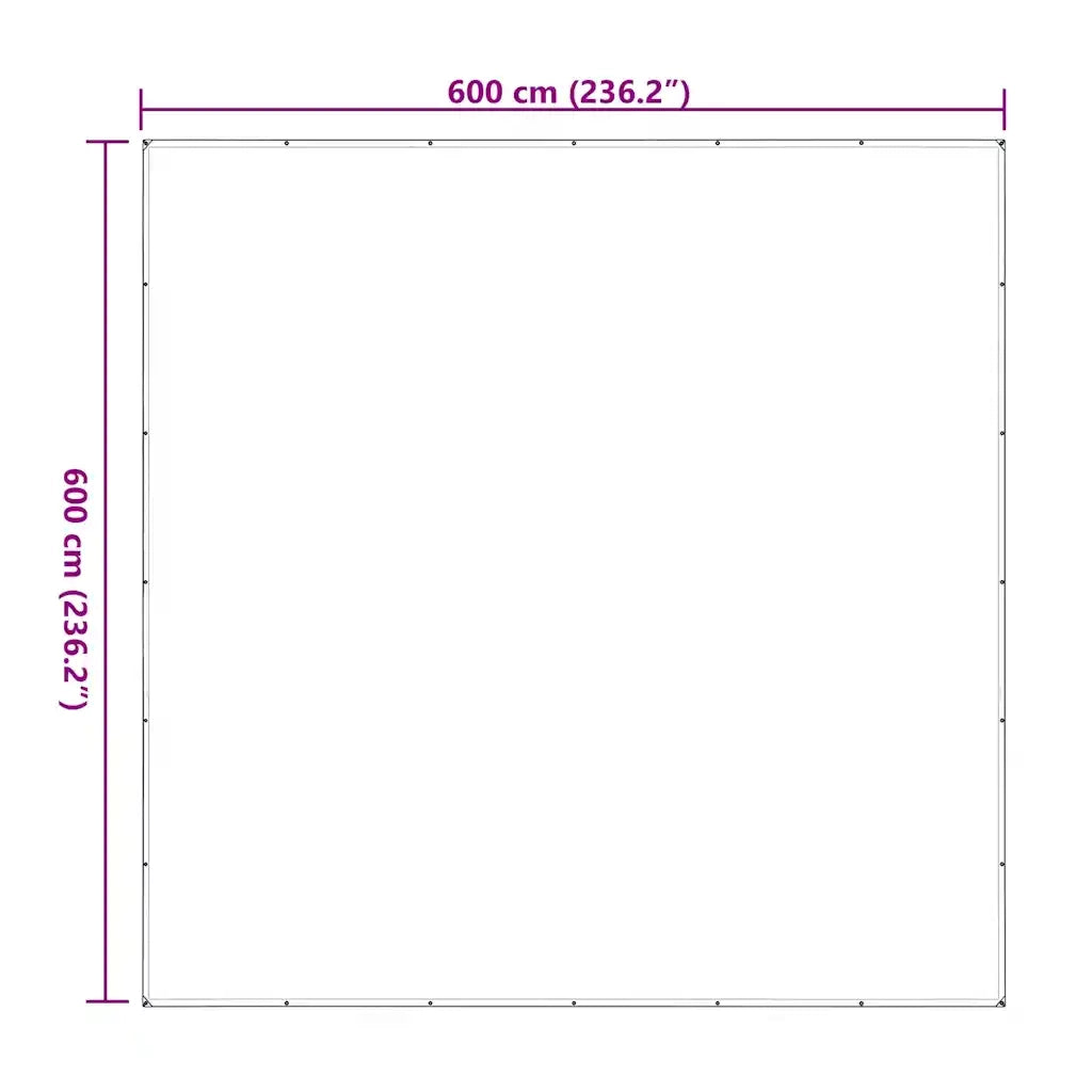 Telone Trasparente con Occhielli 6x6 m in Polietilene 4018529