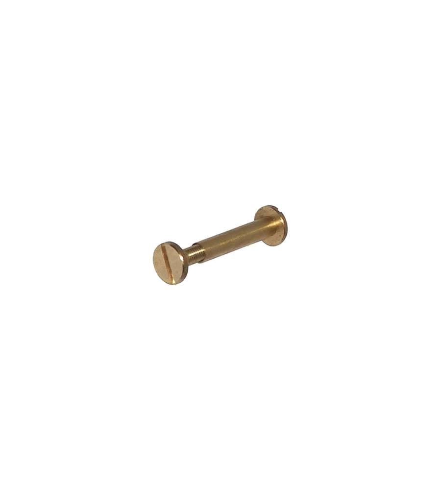 VITE A CANNOCCHIALE 50 mm - 50 pezzi