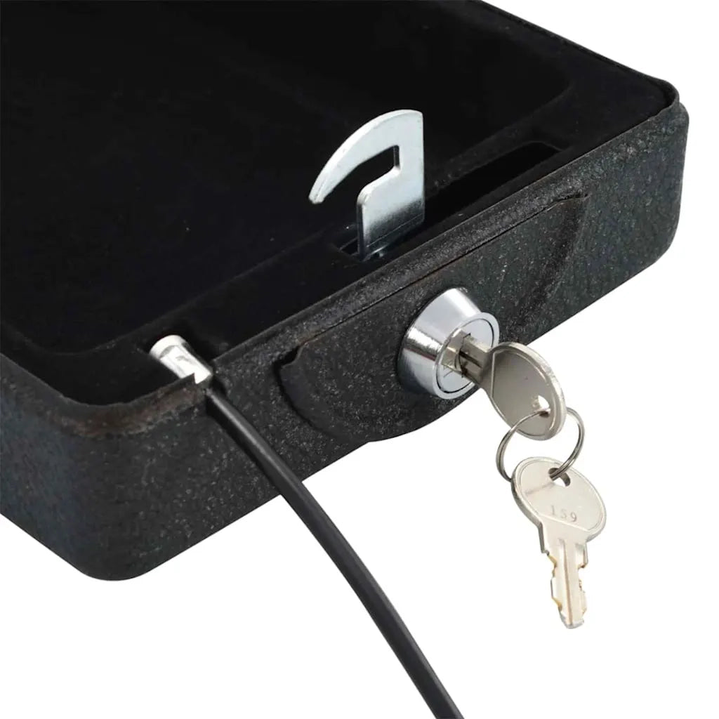 Cassaforte per Auto con blocco Nero 22 x 16 x 7 cm Acciaio 42011320