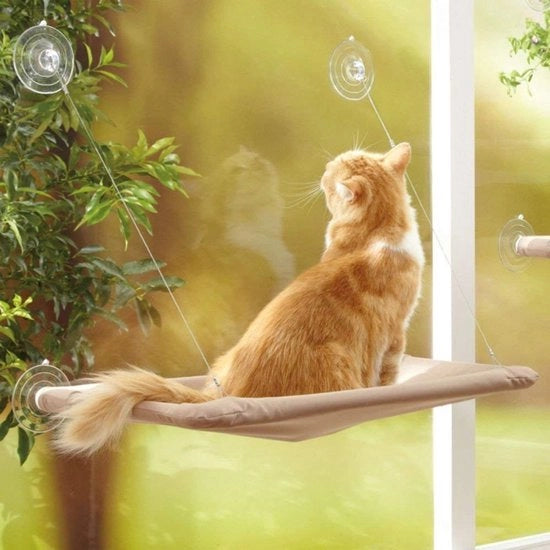 Pendolo per gatti Comfortevole - Montaggio sulla finestra - Pendolo in materiale duraturo - Con chiusura a molla - Dimensioni 55 x 32 cm - Capacità di carico 15 kg - Divano per gatti