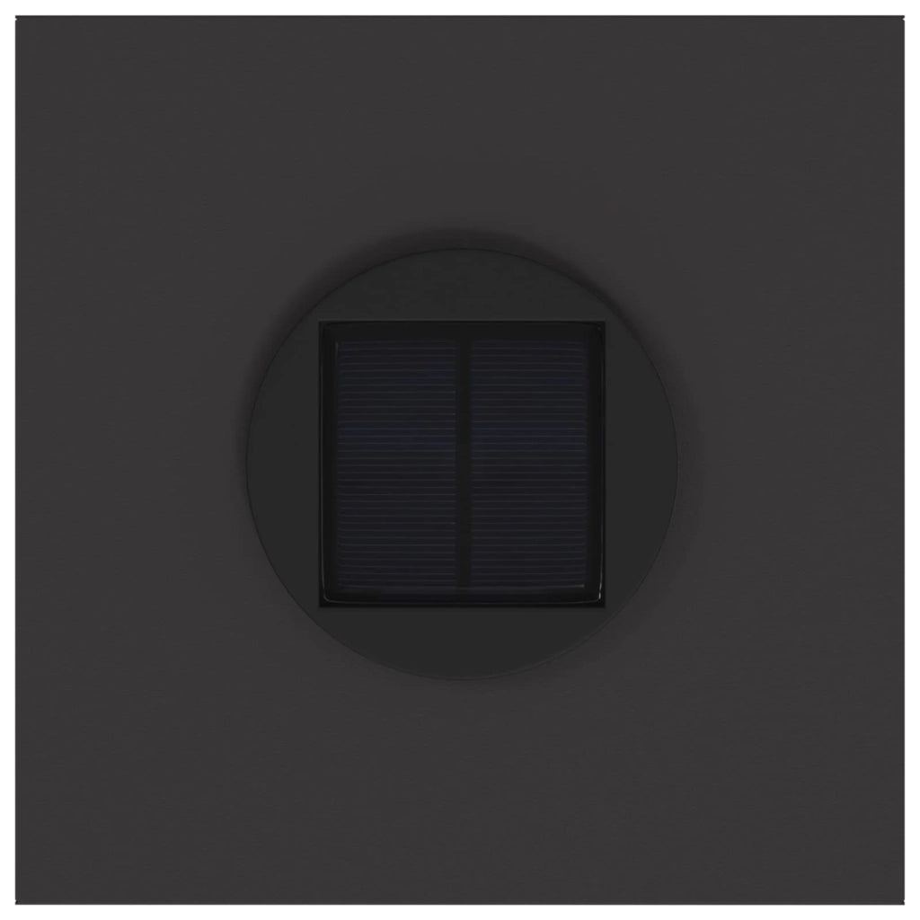 Lucina LED Solare da Percorso 2 pcs Nero 879709