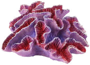 Decorazione corallina per paesaggio acquario