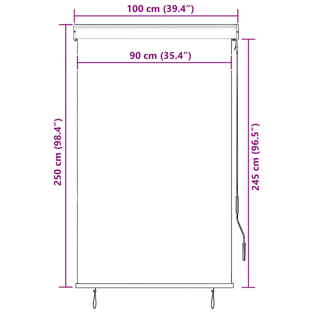 Tenda a rullo | Tenda avvolgibile per Esterni 100x250 cm Giallo e Blu