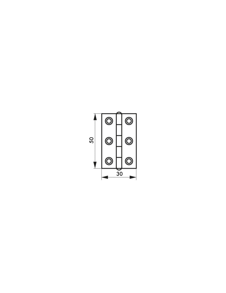 Cerniera per porta 50 x 30 mm, acciaio – THIRARD