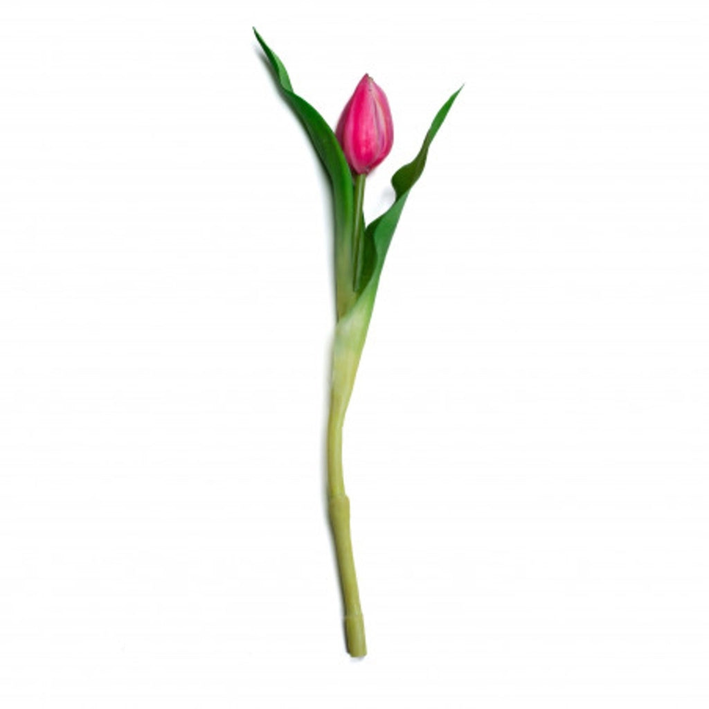 Tulipano fucsia si 42 cm