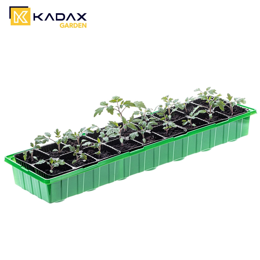 Mini serra KADAX Mini serra Serra Serra 20 scomparti Vassoio per semina
