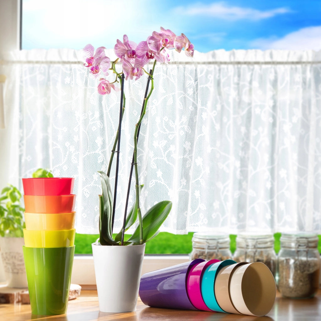 Coprivaso KADAX per orchidee, in plastica, color crema, 13 cm