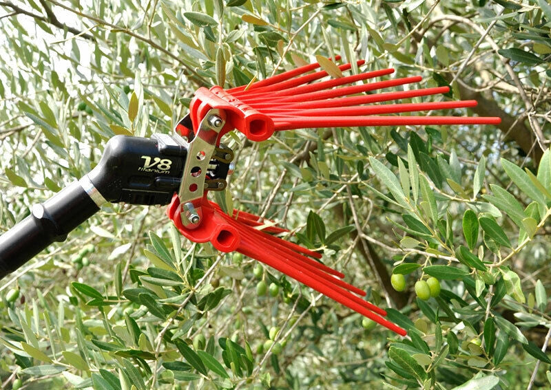 Abbacchiatore pneumatico Lisam V8 TITANIUM 2000 bpm per la raccolta delle olive