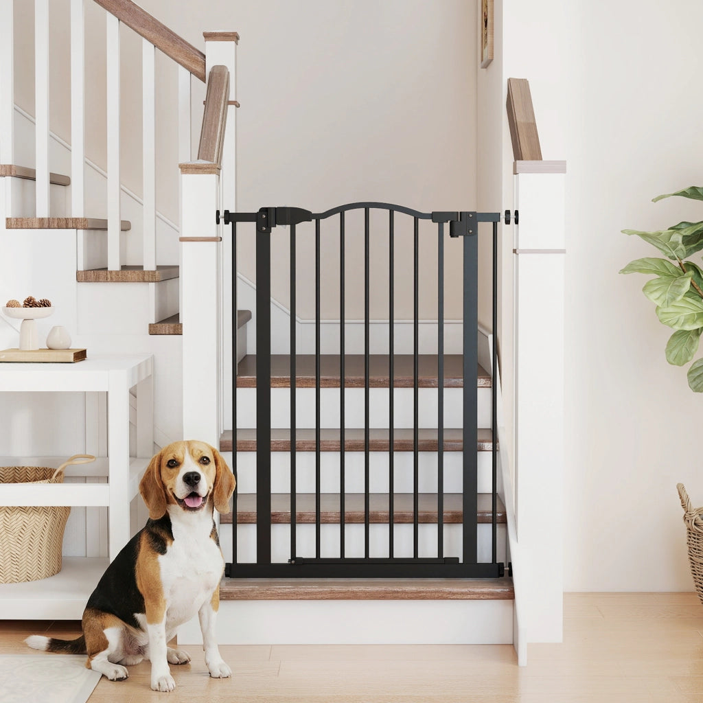 Barriera per cani estensibile ¨C zephmum ¨C Nero 74-80 cm