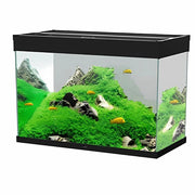 Ciano Emotions Nature Pro 80 LED Senza Supporto Colore: Nero