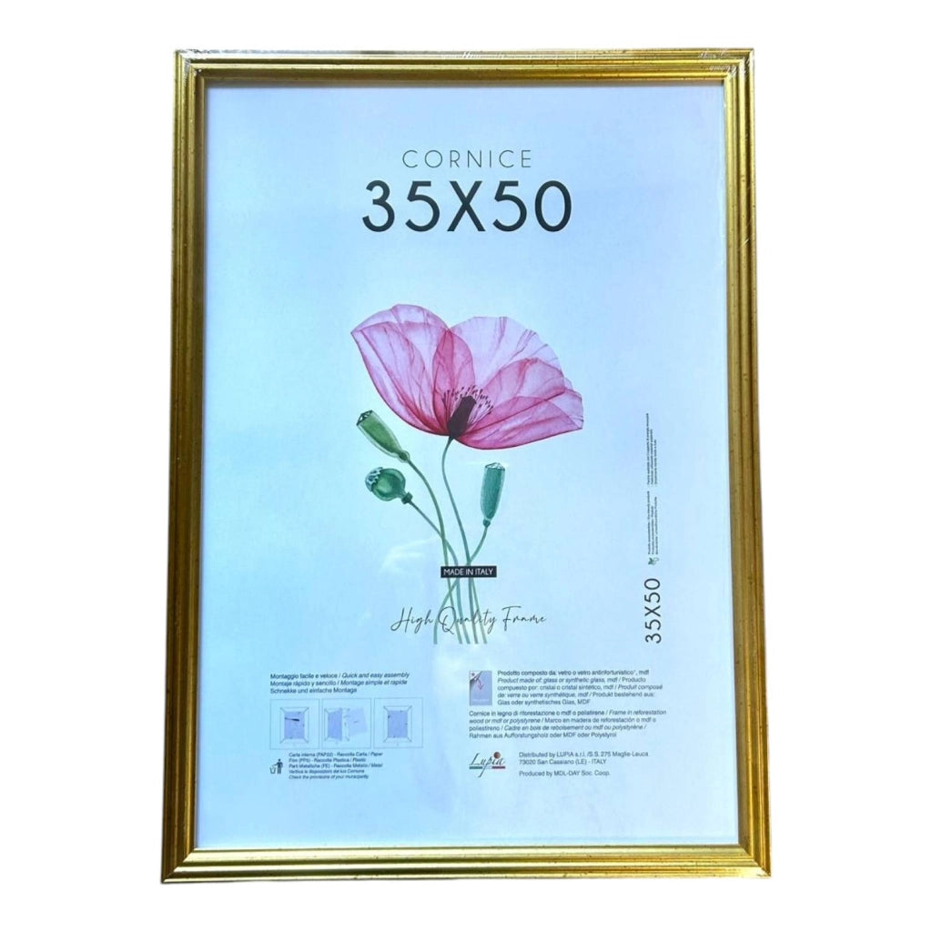 CORNICE LEGNO BLITZ ORO 35X50