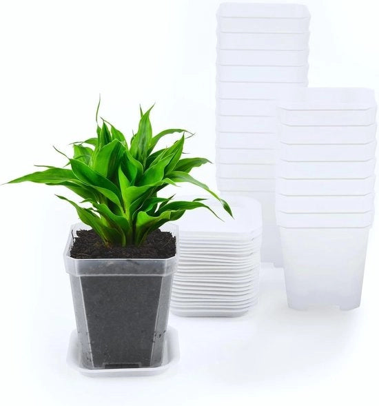 Pannelli per piante trasparenti quadrati - 7 cm - per piante grasse - 24 pezzi - plastica