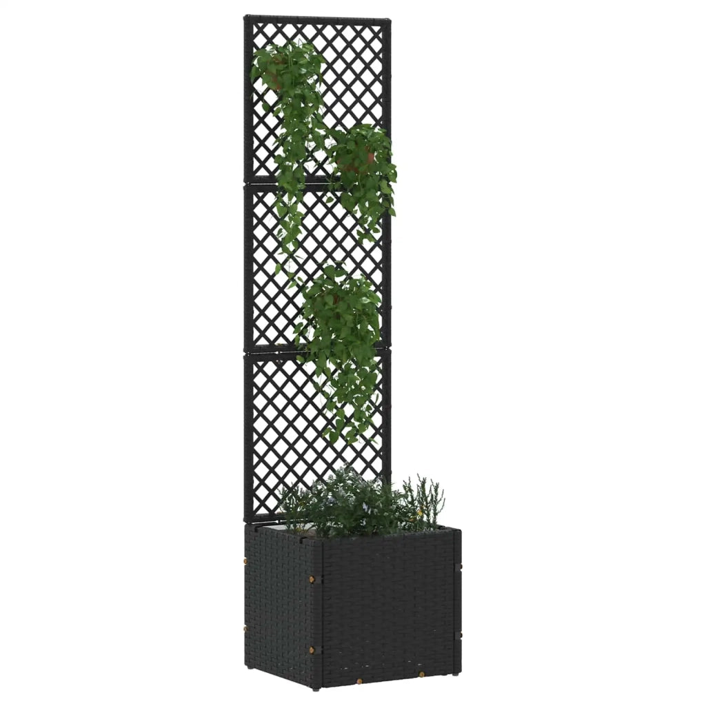 Fioriera a traliccio da giardino Nero 35 x 30 x 135 cm Metallo 366615