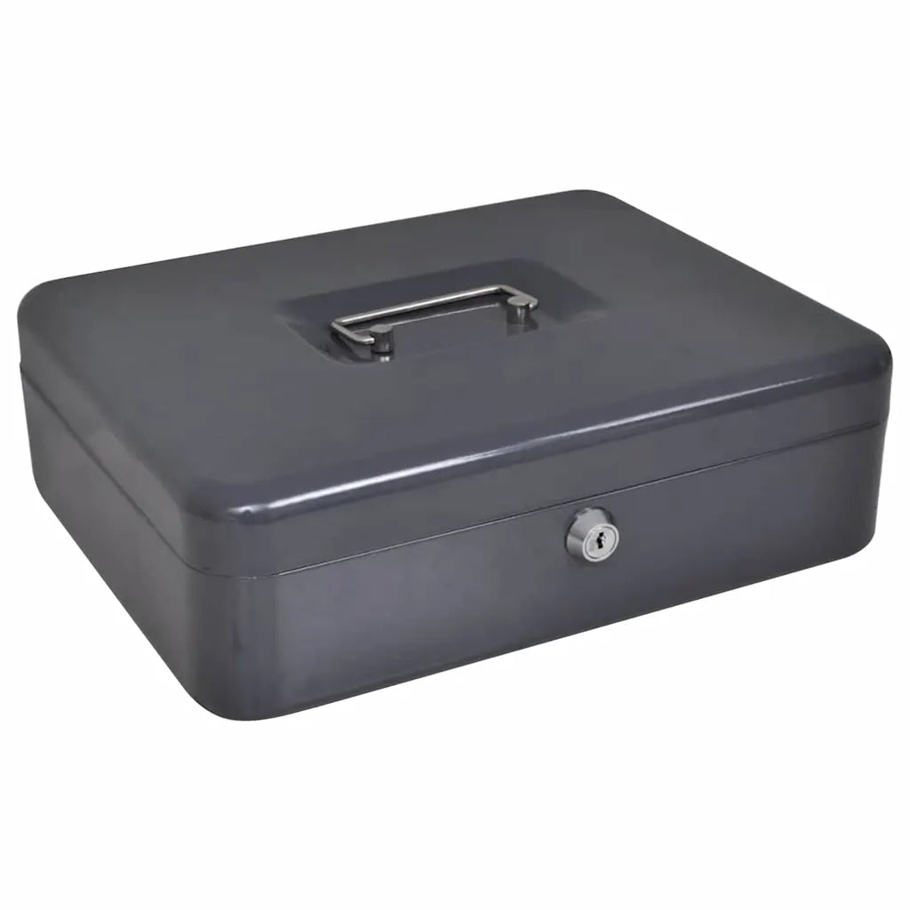 Scatola per Contanti Grigio scuro 30 x 24 x 9 cm Acciaio 42011322