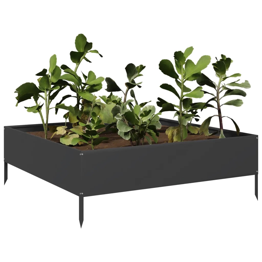 Fioriera | Cassetta per fiori | Vaso Rialzata da Giardino Nera 100x100x33,5 cm in Acciaio