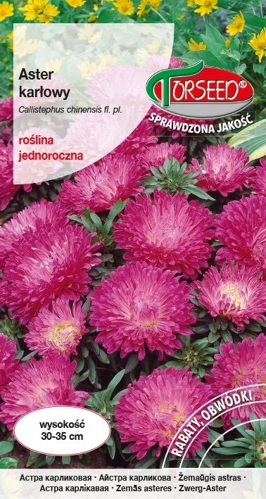 Aster nano Pinocchio mix 0,5g