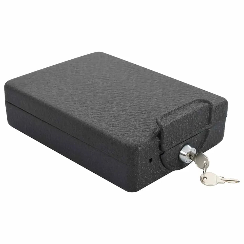 Cassaforte per Auto con blocco Nero 22 x 16 x 7 cm Acciaio 42011320