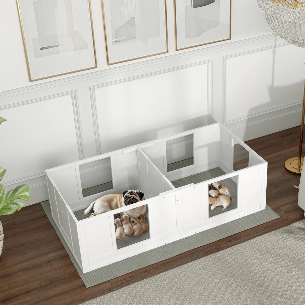 Box per cani ¨C Minimal ¨C 2 ambienti, pannelli trasparenti
