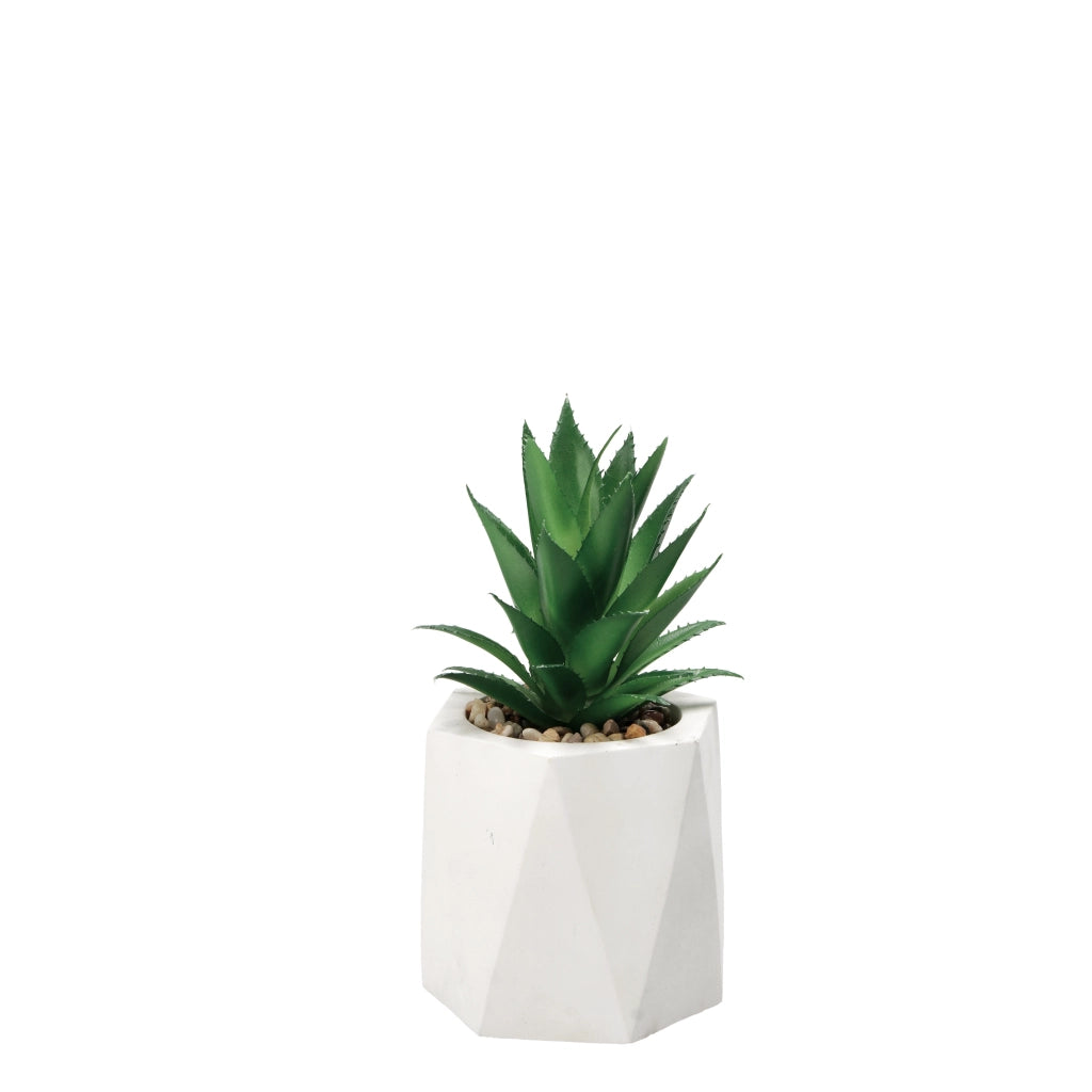 VASO CON PIANTA GRASSA DECORATIVA D.9XH19CM IN 2 C