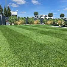 Resilient Blue Lawn 5 kg – Miscuglio Tappeto Erboso di Alta Resistenza
