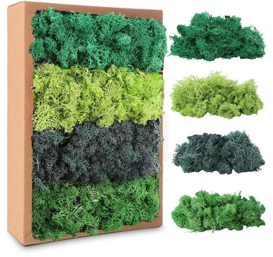 Materiale Decorativo Isolese - 200 g - Geconserveato - Materiale Decorativo per Fiori - Mos Naturale - Decorazione Creativa DIY - 4 Tinte Verde - Materiale Decorativo