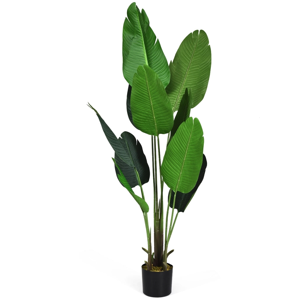 Palma tropicale artificiale con vaso nero, Finto bonsai da interno con 10 foglie realistiche, 160 cm-Piante artificiali
