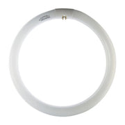 CIRCOLINA 32W G10Q 2000LM 6500K- 12,0 pz