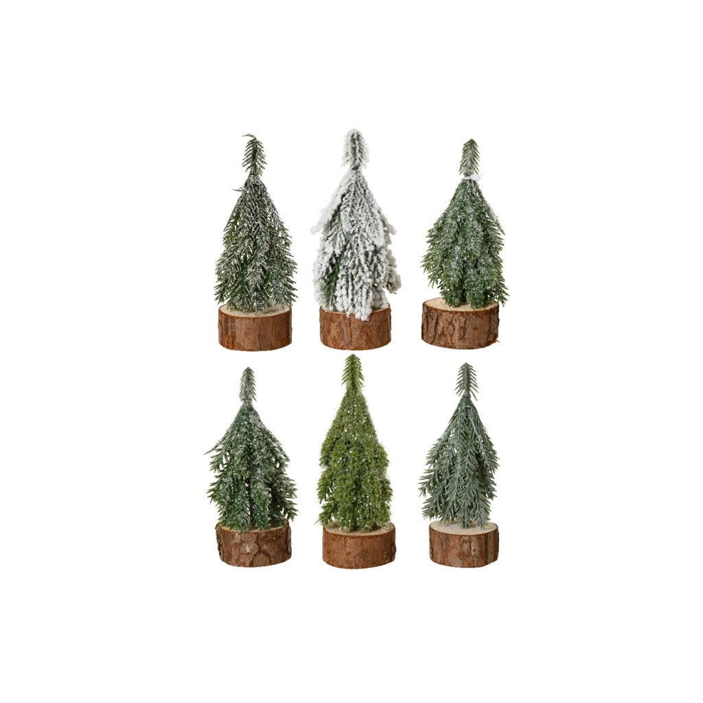 Mini Albero ass D5 H11cm