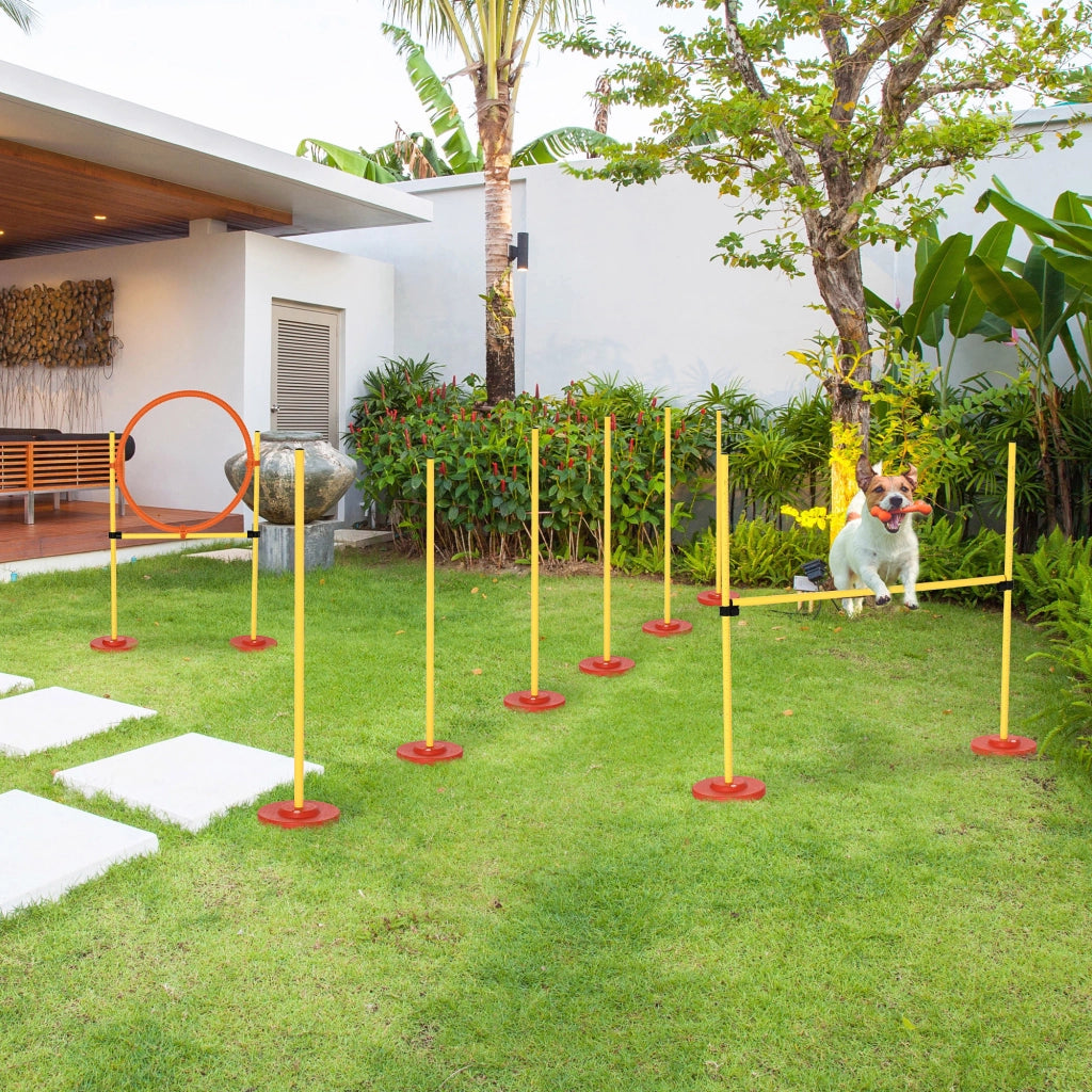Set Agility Dog 3 Esercizi Slalom Ostacoli Anello ¨C Minimal ¨C Giallo e Rosso