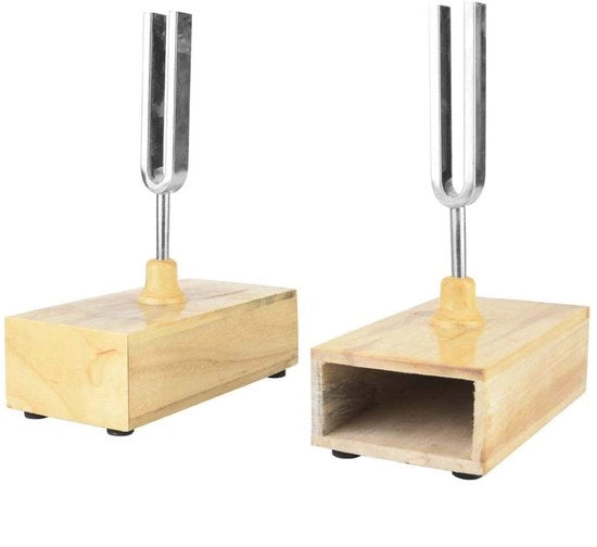 Strumento di Risonanza 440 Hz - Alta Qualità - Laboratorio Scuola - Cromato - 6,5 x 16 mm - 109 mm Lunghezza