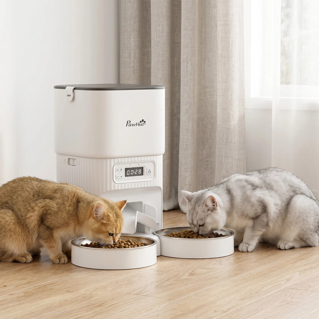 Distributore Automatico Cibo Gatti con Timer ¨C Xylo ¨C 2 Ciotole Acciaio Inox