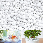 CIOTTOLI DI MARMO CARRARA BIANCO MM.15/25 KG 20