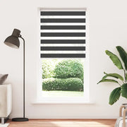 Tenda a rullo | Tenda avvolgibile Zebra Nero Larghezza Tessuto 110,9 cm Poliestere