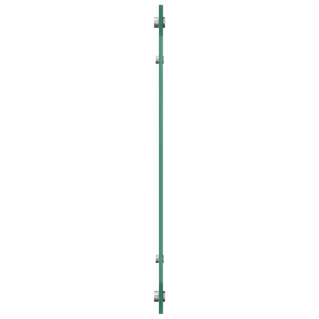 Schienale da cucina 2 pz Trasparente 70 x 60 cm CFW4920678