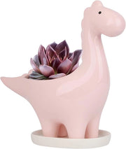 Vaso Ceramico Dinosaurio per Cactus e Piante Grasse - Design Unico per Casa e Giardino